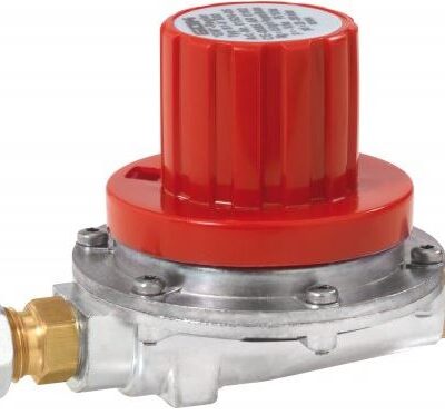 Elfstufenregler  RVS 8  1 kg/h